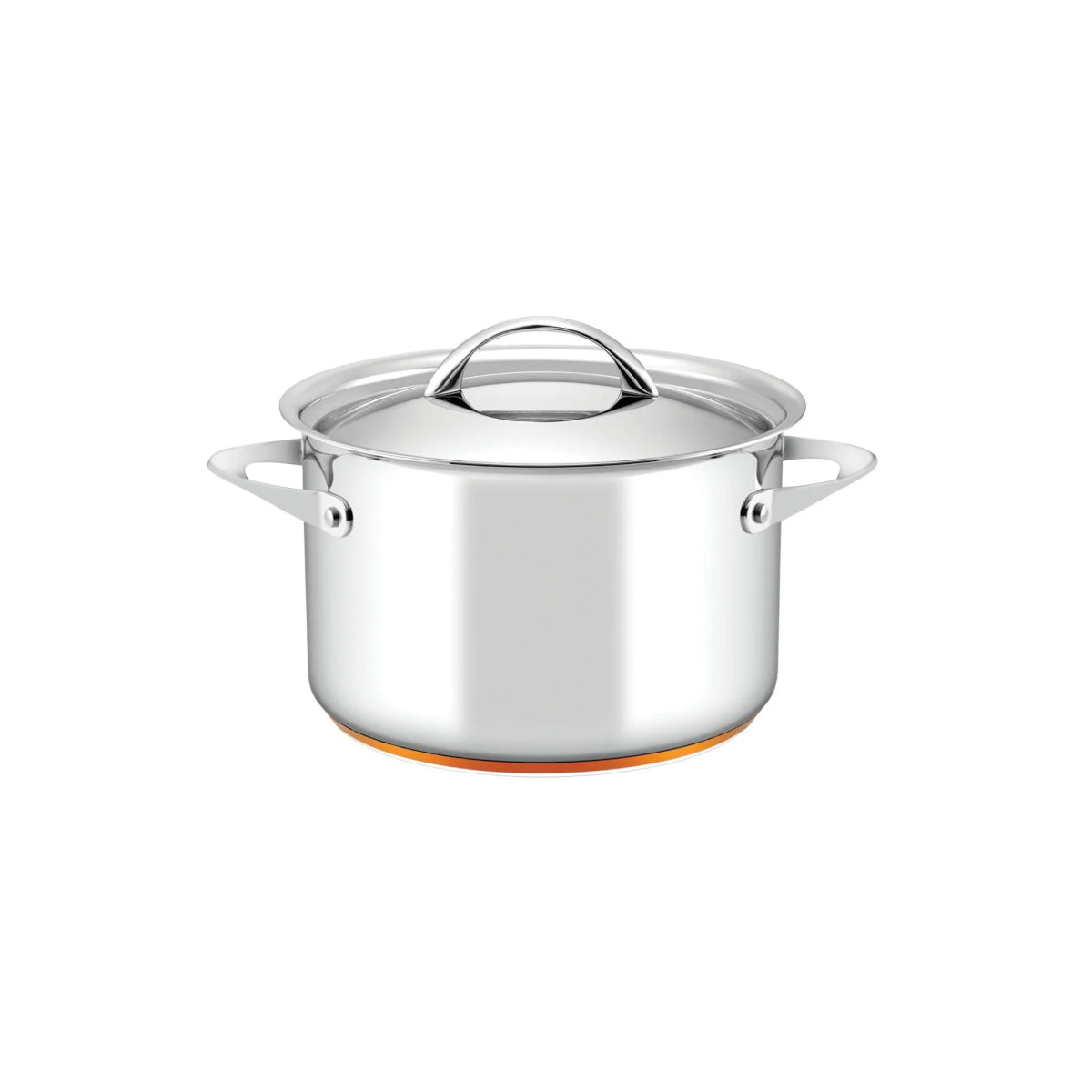 Essteele Per Vita Copper Base Stainless Steel Induction Covered Stockpot 24cm (7.1L)