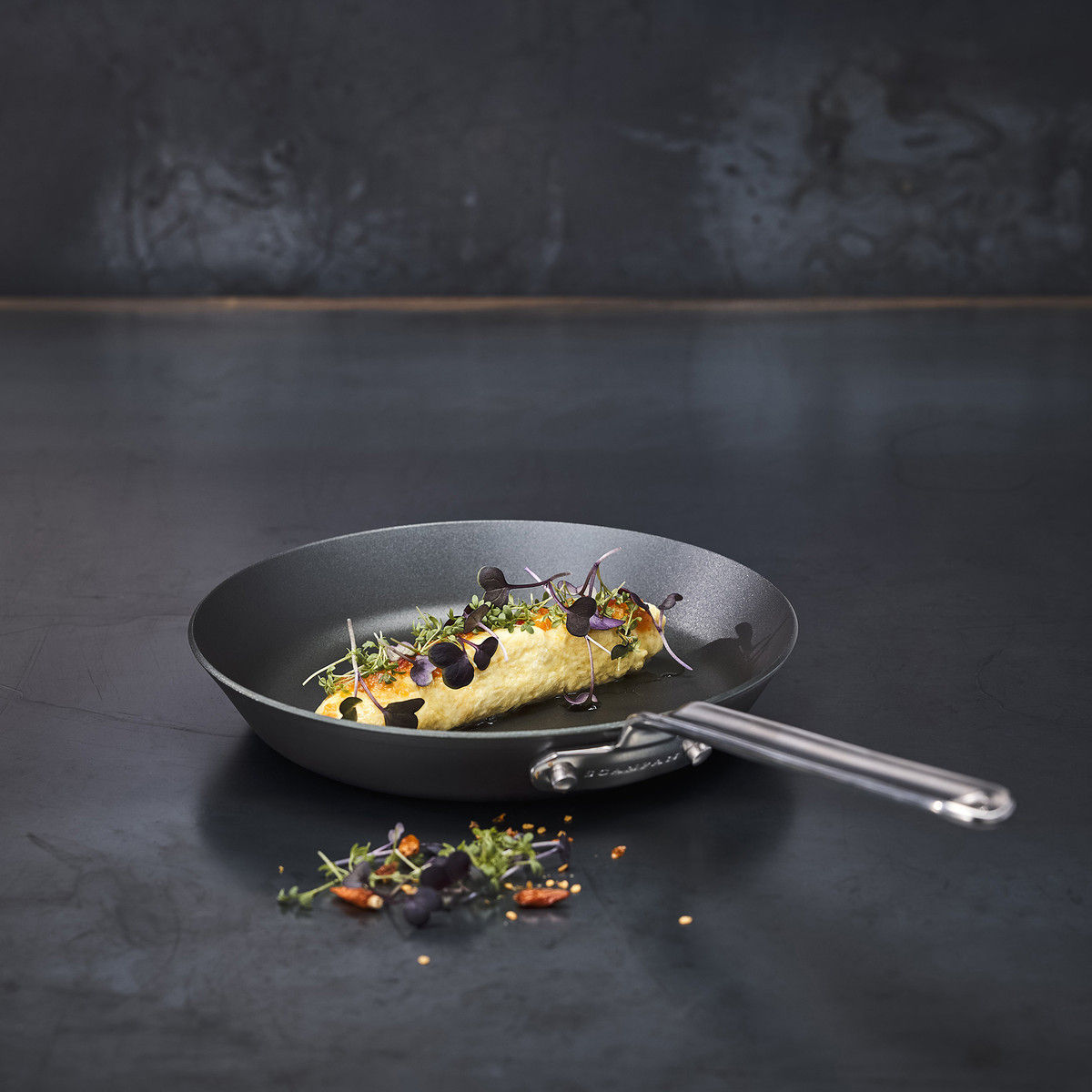 Scanpan Black Iron Carbon Steel Frypan 22cm